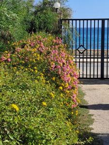 La Casetta del Borgo Marinaro