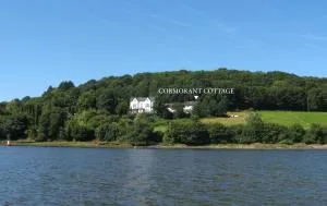 Cormorant Cottage - 陶因