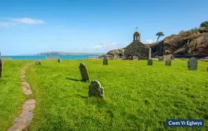 Perci Penrhiw Bach - Dinas