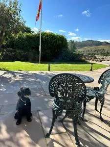 The Rose and Thistle Alwinton - Sharperton The Rose and Thistle Alwinton - Sharperton