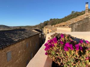 Maisons de vacances Authentiek huis op 5 km van Uzes met prachtig uitzicht en terras met jacuzzi : photos des chambres