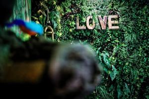 La Jungle de Zoé - Nuit insolite à 15min de Caen