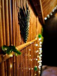 La Jungle de Zoé - Nuit insolite à 15min de Caen