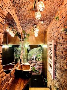 Appartements La Jungle de Zoe - Nuit insolite a 15min de Caen : photos des chambres