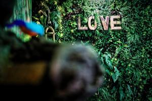 Appartements La Jungle de Zoe - Nuit insolite a 15min de Caen : photos des chambres