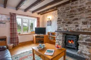 Honey Hook Cottage - Pelcomb