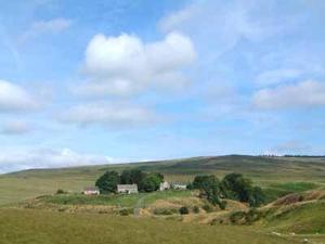 Rowan Cottage-80119
