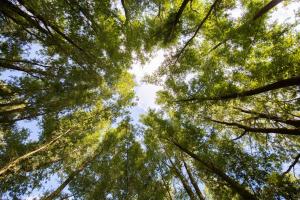 Groepsaccommodatie en retreatlocatie Zeeland