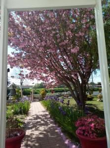 Chambres dhôtes Les Quatre Vents