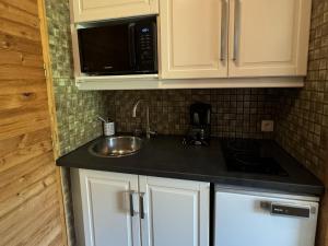 Studio skis aux pieds avec animaux admis - FR-1-181-2219