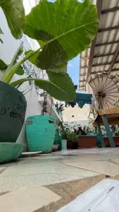 Tropicali ⁿᵉᵃʳ ⁿᵍᵒʳ ᵇᵉᵃᶜʰ ᵃⁿᵈ ⁱˢˡᵃⁿᵈ - Ngor