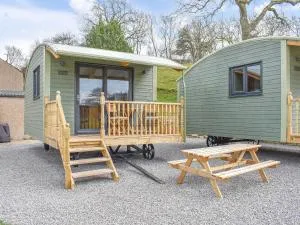 The Ash Uk38291 - 雷文斯通代尔