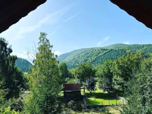 Pensiunea Paradisul Naturii