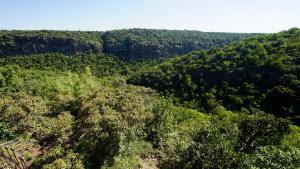 Leopards Rock Bush Boutique