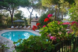 Maisons de vacances Location Villa et Studios Roquebrune-sur-Argens : photos des chambres