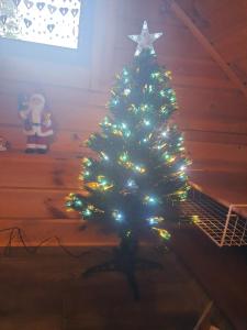 Chalet savoyard "le Sapinet"