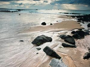 Appartements La Langouste ROUGE : photos des chambres
