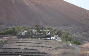 La Ranita 4 SIDDHARTHA