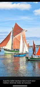 Appartements La Langouste ROUGE : photos des chambres