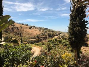 Little Paradise in Fuente Conejo