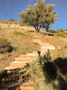 Little Paradise in Fuente Conejo