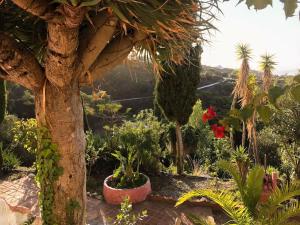 Little Paradise in Fuente Conejo