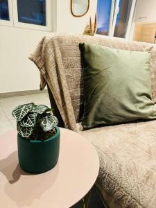 Appartements Studio cosy - Hyper centre : photos des chambres