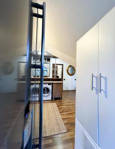 Impala Sinaia - Gazelle