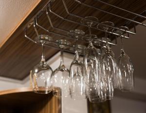 Impala Sinaia - Gazelle