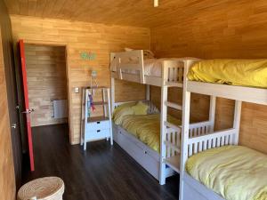 Hermoso alojamiento con piscina y playa en Lago Panguipulli