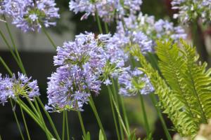 Richtershuyz Luxury Accommodation