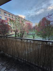 Tabago Studio 30 Wieluń Stare Sady