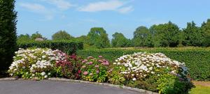 Maisons de vacances Villa La Maringotte : photos des chambres