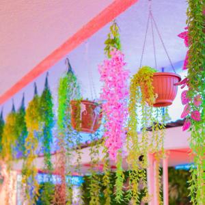 Exclusive Rooftop Retreat