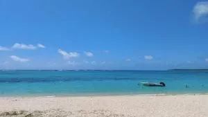 Artists House East - Palmar