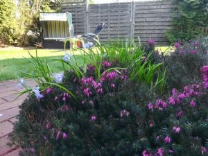 Ferienhaus-Herrlich-31