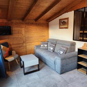 Nouveau !LE CHOUCAS appartements au centre de Chatel avec parking couvert