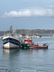 Appartements La Langouste ROUGE : photos des chambres