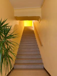 Appartements La Langouste ROUGE : photos des chambres