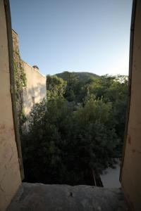Appartements Magnifique eco-gite des Marronniers avec terrasse : photos des chambres
