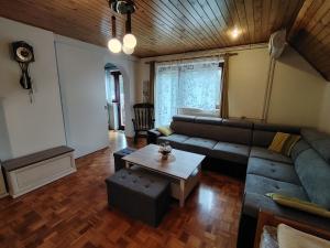 Fantastic Apartment Brglez