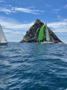 Appartements La Langouste ROUGE : photos des chambres