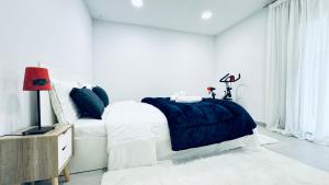 Luminous Luxury House