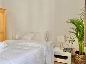 Appartement terrasse centre,