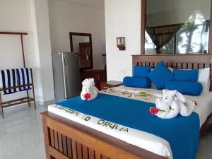 Oruwa Turtle Beach Villa - 阿洪加拉