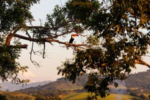 Hotel Morro De Santo Agostinho