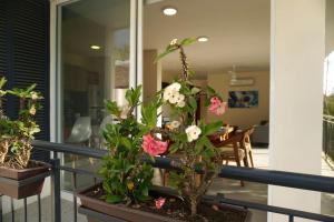 Aqua Reef Condos Sayulita Apt 2