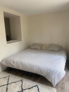 Appartements Appartement macon proche gare avec cours : photos des chambres