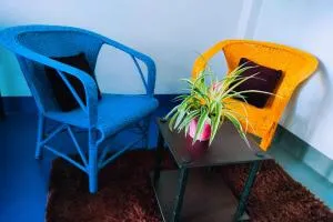 California Nest - Hojāi