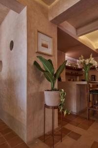 Beige Jardin Conzatti Centro Diseno AC